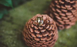 Podzimní kouzlo svateb