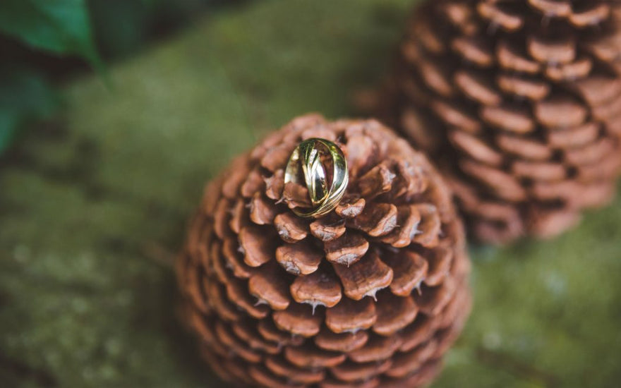 Podzimní kouzlo svateb