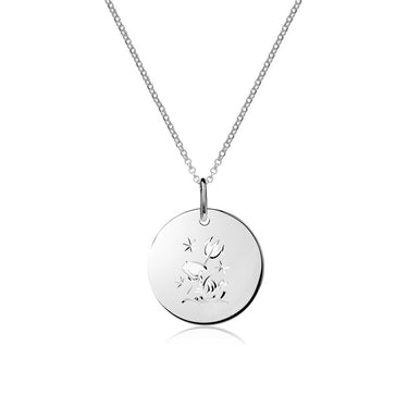 Stříbrný dámský přívěsek P373 – znamení Vodnář, rhodium